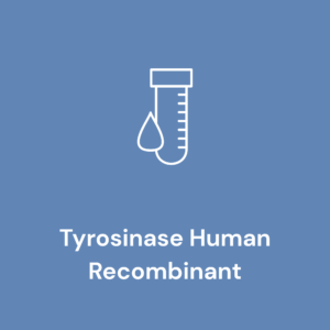 Tyrosinase Human, Recombinant
